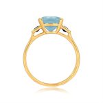 2.03 carat Aquamarine and care Sapphire Accent Lawton Ring 14201