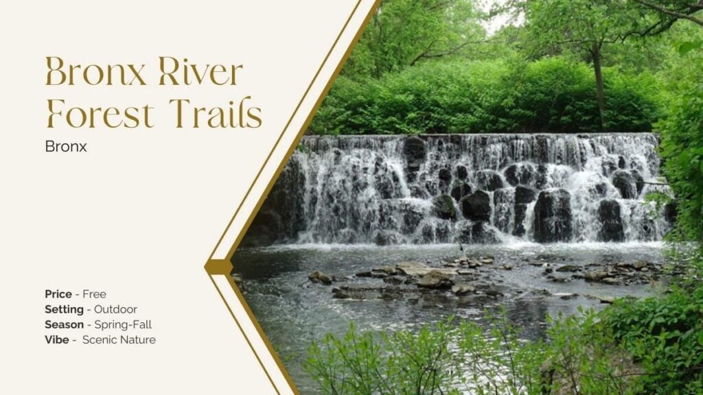 Bronx River Forest Trails