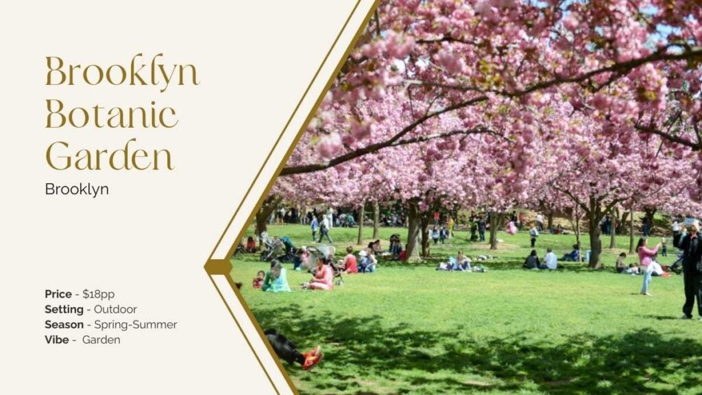 Cherry blossoms Brooklyn botanic garden proposals spots