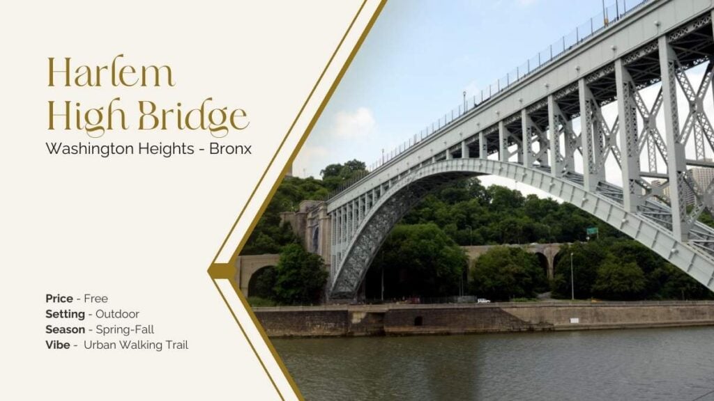 Harlem High bridge bronx low view proposal idea