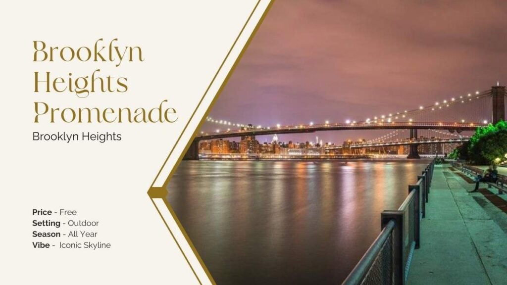 Brooklyn heights promenade nighttime view Proposals