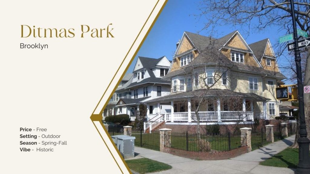 ditmas park victorian house brooklyn proposal area