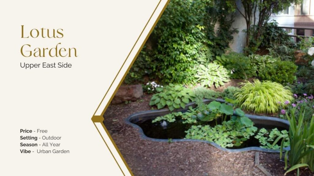 lotus garden upper east side nyc