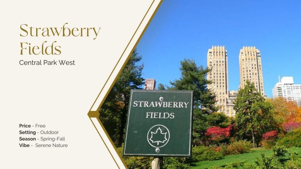 strawberry fields in central park romantic proposal area