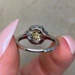 Back View of Round Brilliant Yellow Diamond Ring f6 15896