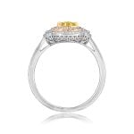 Center yellow diamond Cluster with pink and white Diamond Double Halo Aquasco Ring 15896