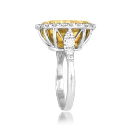 11.79ct yellow diamond halo ring platinum and gold Wilmore Ring SB4956 TSV