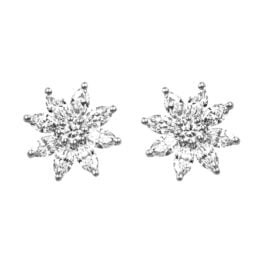 Mix shape diamond floral platinum Wayton Earrings ASS5578 TV